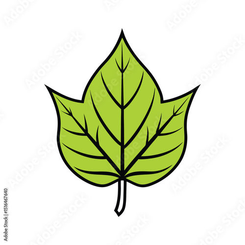 A vibrant green poplar leaf with prominent veins