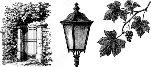Engraved vintage street lantern, garden gate, and vine illustration