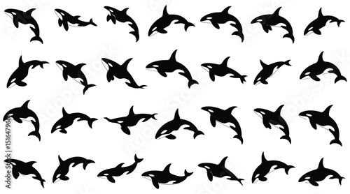 Orca clipart vector illustration featuring killer whale silhouettes in various poses for marine life and ocean designs

