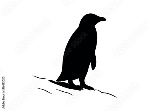 Silhouette of a Penguin on a Snowy Landscape,  silhouette of a penguin standing on a snowy or icy surface, penguin, silhouette, bird, black and white, animal, wildlife, arctic, antarctic, snowy, ice. 