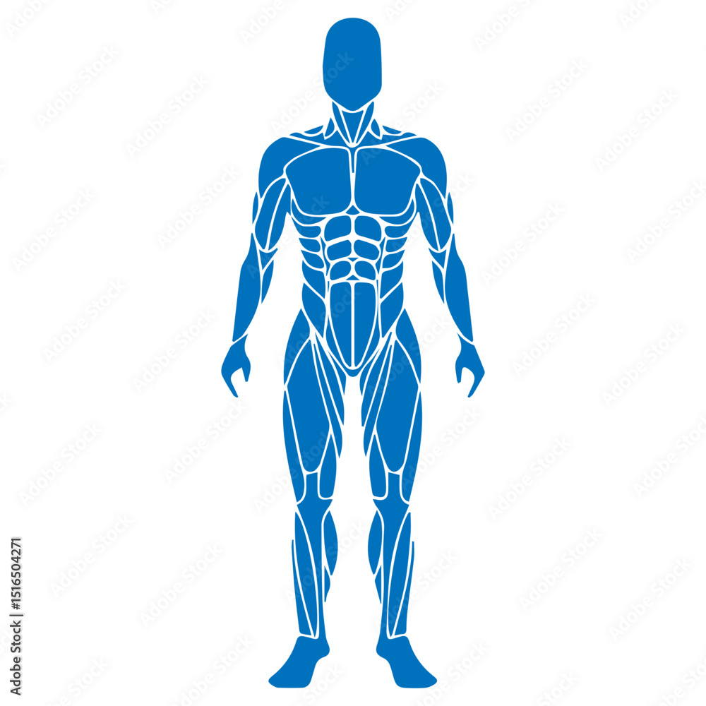 human anatomi icon human anatomi icon