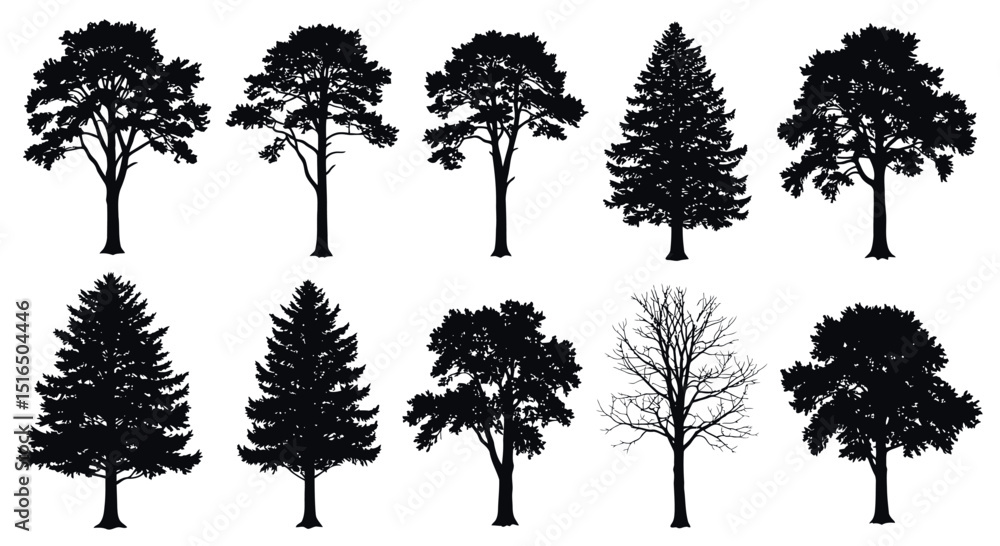 Fototapeta premium Silhouettes of diverse tree species displaying varied shapes and structures