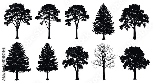 Silhouettes of diverse tree species displaying varied shapes and structures
