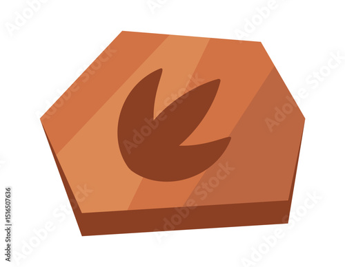 Stone fossils prehistoric animal footprint