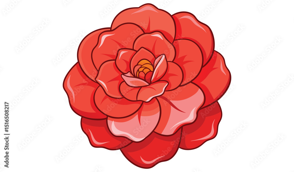 Red camellia flower blossom isolated on white background Red camellia flower blossom isolated on white background