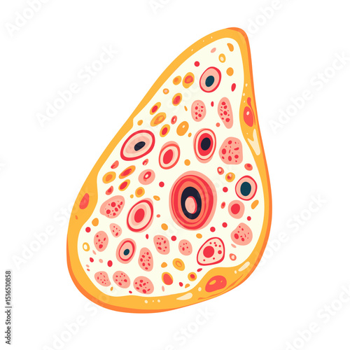 Detailed Anatomical Illustration of Biological Tissue with Cells in Yellow Red and White Colors on Plain Background