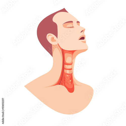 Detailed Anatomical Illustration of Human Neck with Larynx Trachea and Thyroid Gland on a White Background for Medical and Educational Purposes