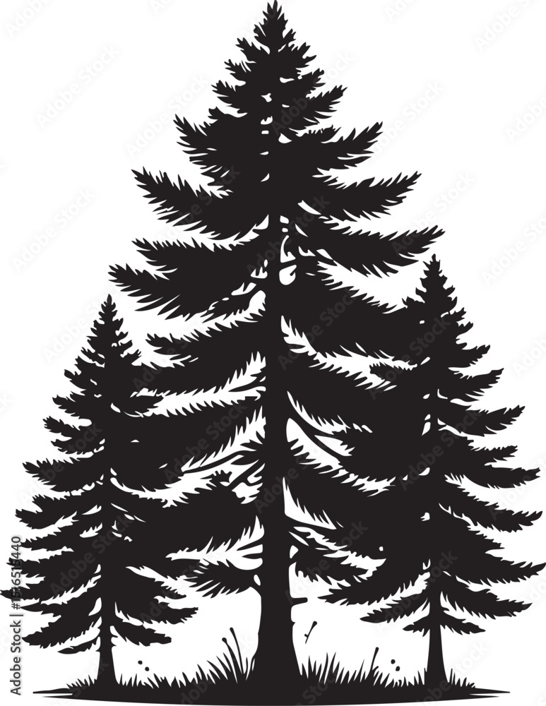 Obraz premium Majestic Evergreen Trio: A Black and White Silhouette of Three Coniferous Trees