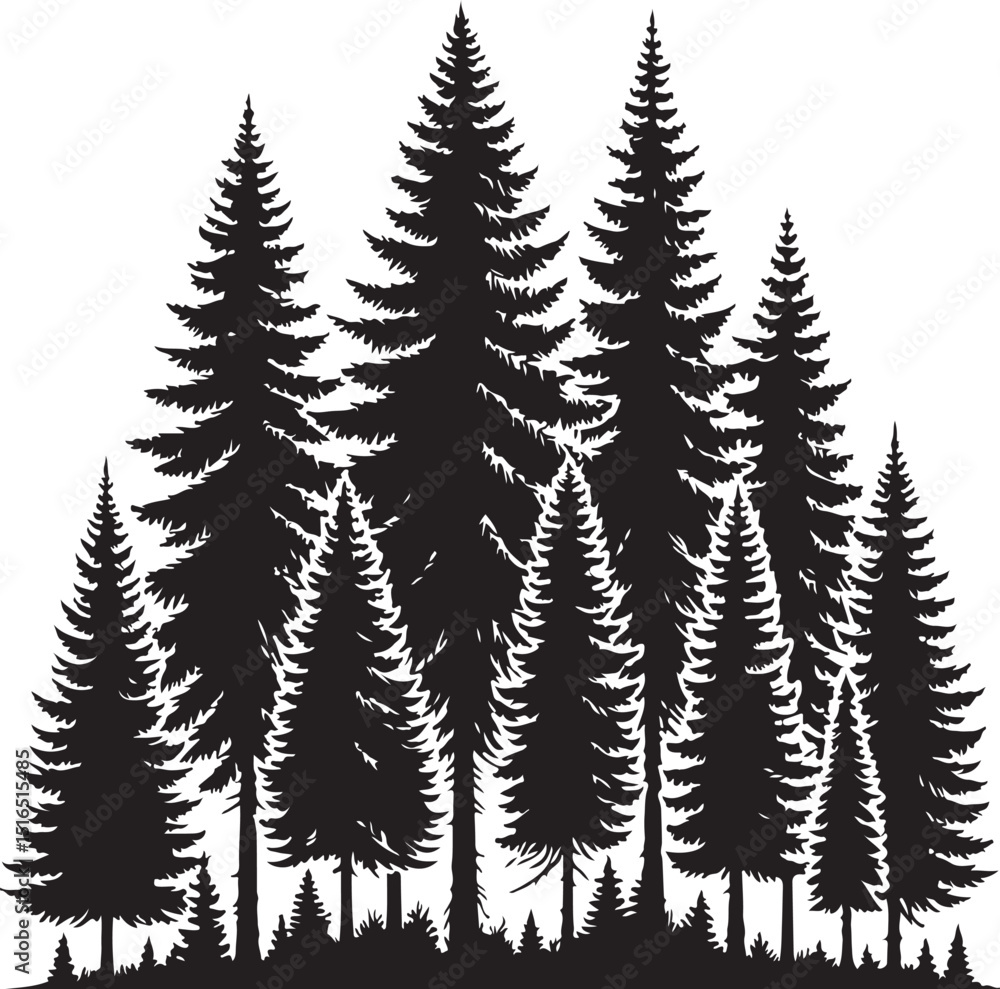 Obraz premium Silhouette of a Majestic Evergreen Forest