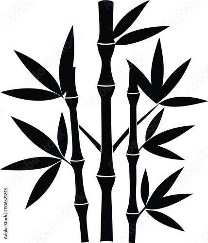 bamboo
