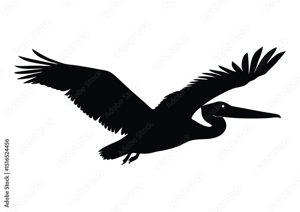 Fototapeta premium Silhouette of a pelican in flight vector design for t-shirts and logos