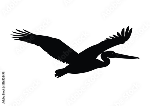 Silhouette of a pelican in flight vector design for t-shirts and logos
