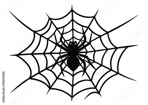 spider net with spider silhouette Vector clipart design Illustration.