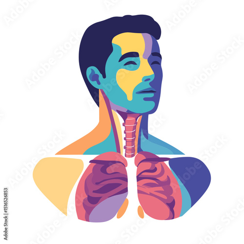 Anatomical Illustration of Human Body with Lungs Neck and Head in Vivid Colors Depicting Internal Organs on White Background
