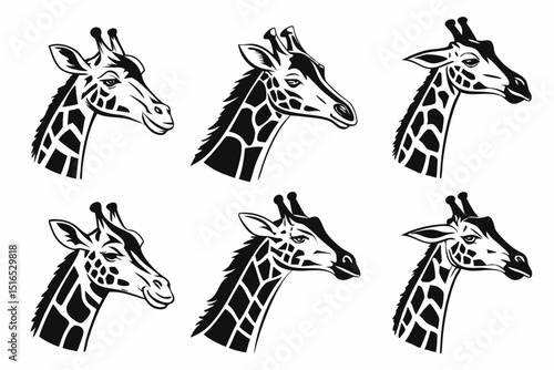 giraffe vector illustration