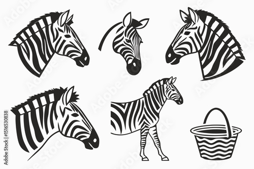 zebra