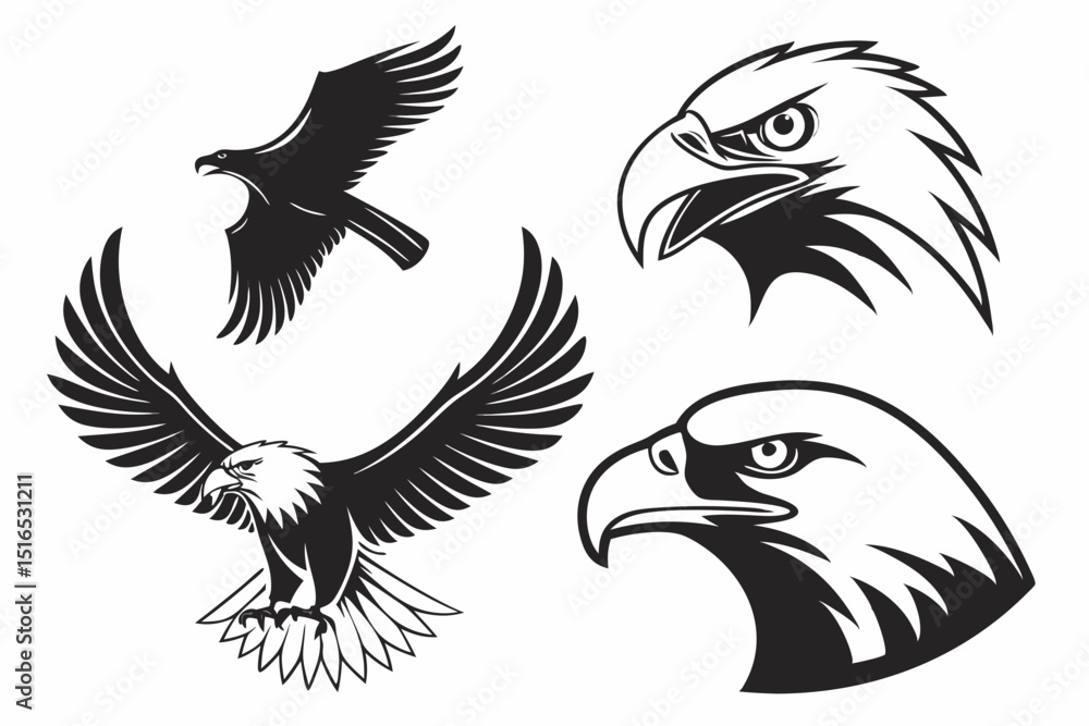 Fototapeta premium eagle