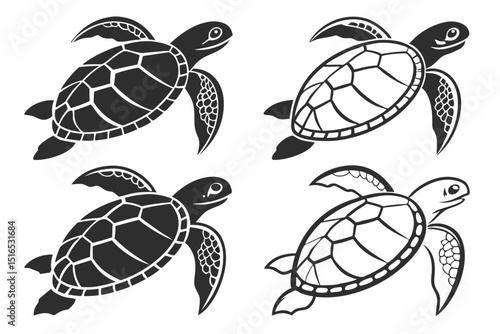 turtle vector illustration