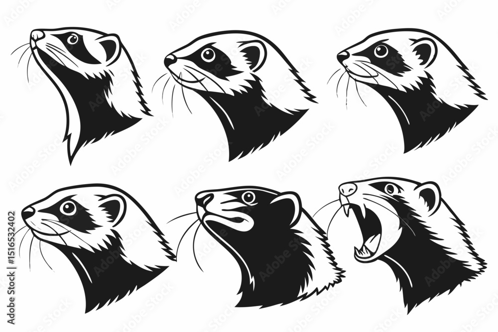 set of animals set of animals