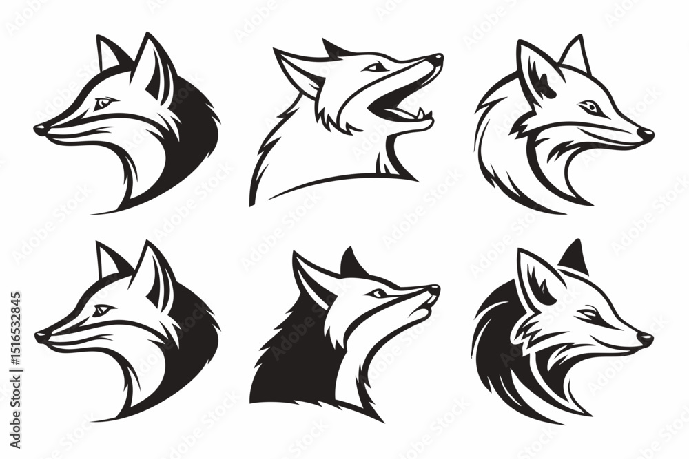 Obraz premium set of fox