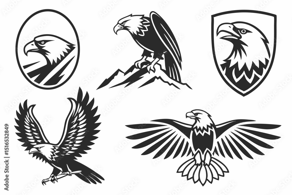 Obraz premium eagle with wings