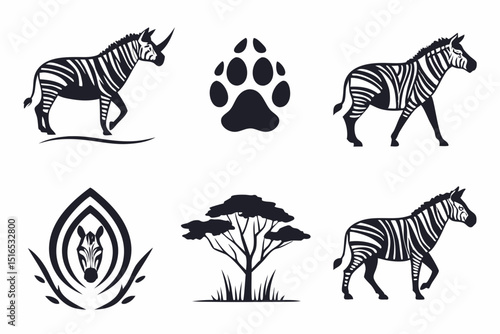 zebra vector illustration