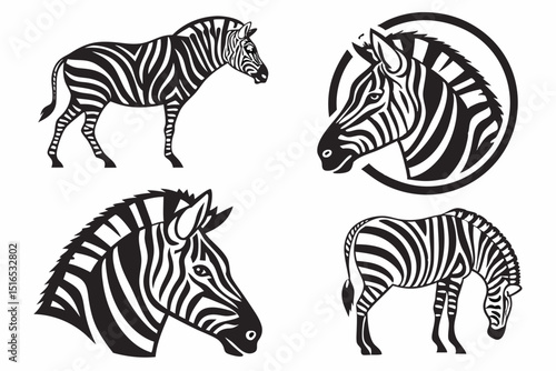 zebra vector illustration