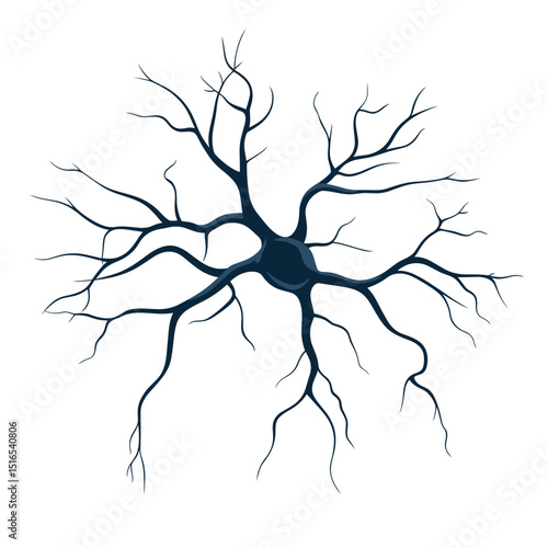 Dark Blue Neuron Cell with Branching Dendrites and Axon on White Background Isolated nerve Tissue Microscopic View