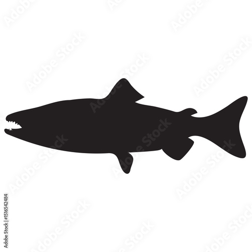 Salmon fish silhouette vector
