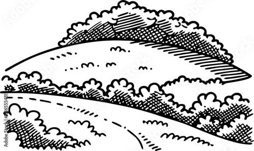Rolling hills and winding path with shrubbery black and white landscape illustration, nature, countryside sketch