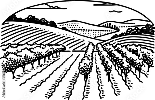 Vineyard landscape illustration with rolling hills, trees, and cultivated farmland harvest season agricultural scene