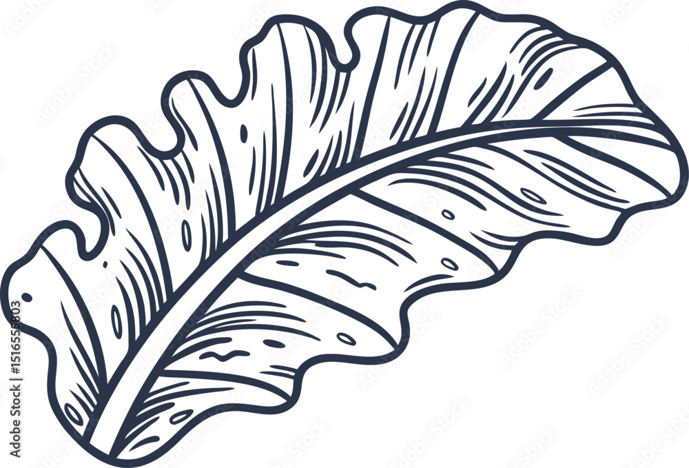 Obraz premium Detailed outline illustration of large tropical leaf, botanical line art drawing, natural foliage design