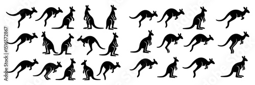 Various kangaroo silhouettes in different poses showcasing their movement across an artistic background with a black and white theme