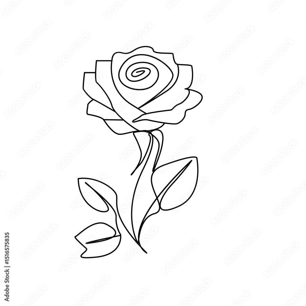 Continuous line drawing of rose flower vector illustration hand drawn decorative beautiful design Continuous line drawing of rose flower vector illustration hand drawn decorative beautiful design