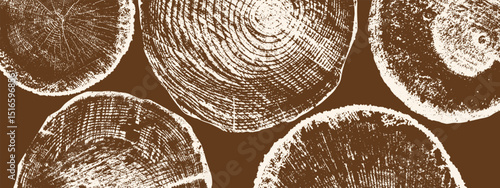 Wood annual rings texture. Template with tree ring pattern. Sections of round tree trunks. Vector image.	