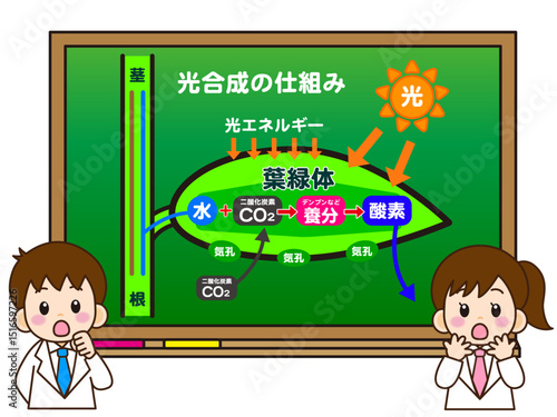 黒板で光合成の仕組みを考える白衣の少年少女のイラスト素材