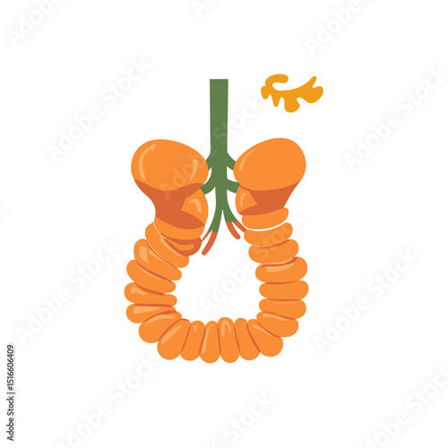 Human Intestine Anatomy Illustration of Large and Small Intestine Colon in Orange and Green Medical Diagram Isolated on White