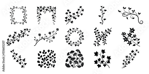 Vine silhouette vector set on white background, Silhouette ivy liana set