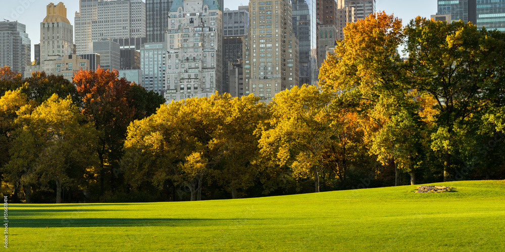 Obraz premium Central Park Sheep Meadow in fall, with colorful trees and Manhattan skyscrapers in early morning. New York City