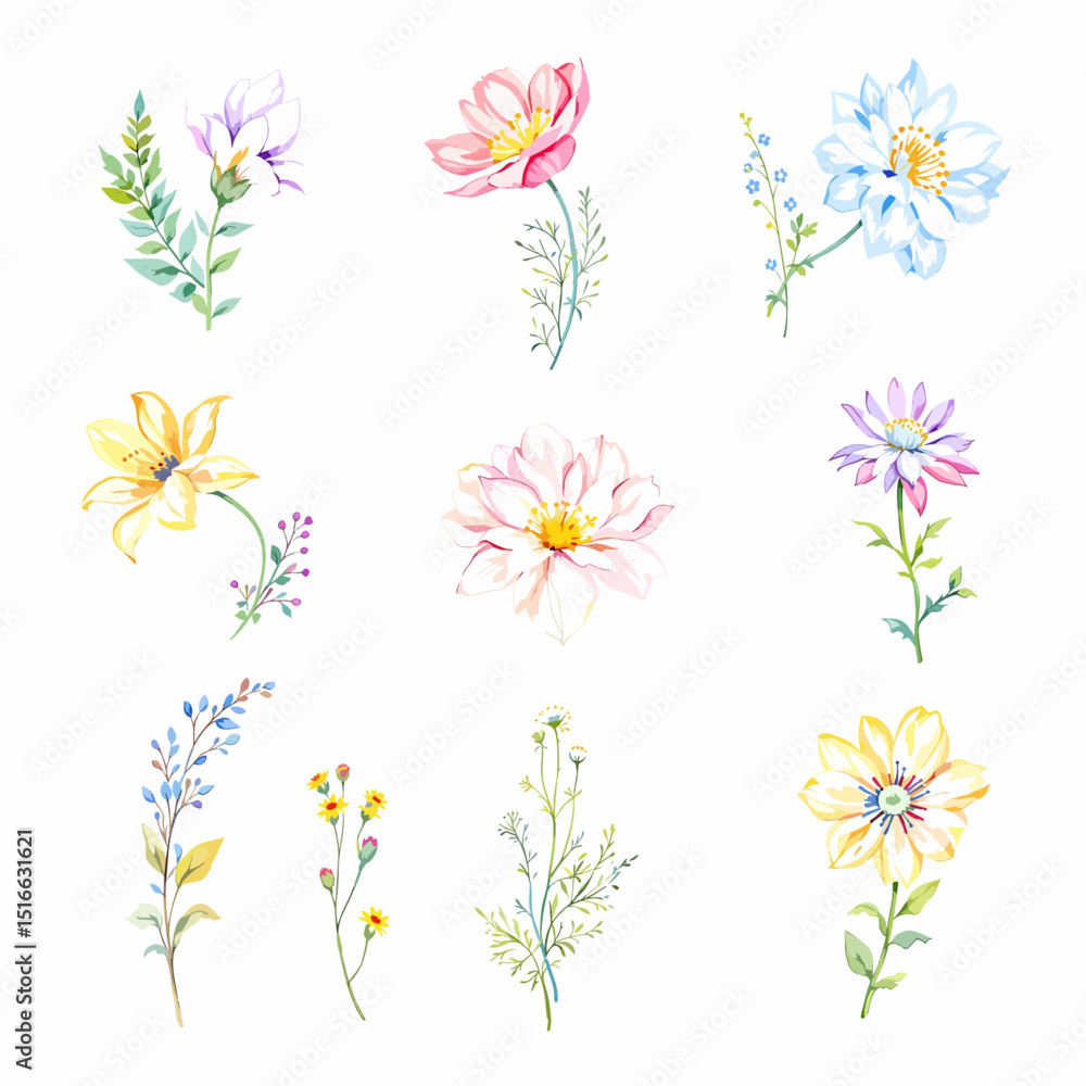 Set of watercolor abstract flowers on white background, wildflower clipart vector for graphic resources Set of watercolor abstract flowers on white background, wildflower clipart vector for graphic resources