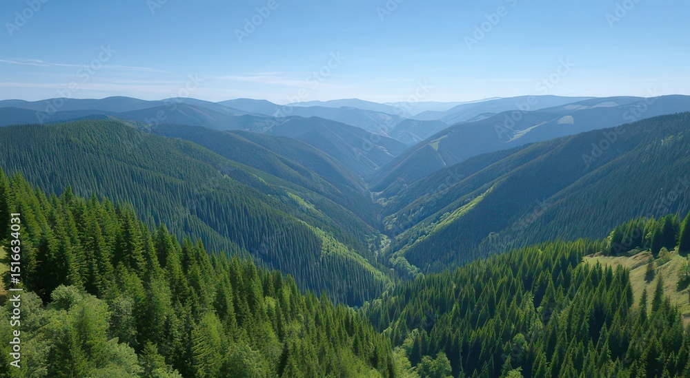 Obraz premium Scenic Mountain Valley with Dense Forests and Rolling Hills