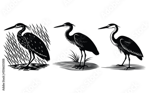 White heron, a wild bird of nature with a long beak, a silhouette against the water