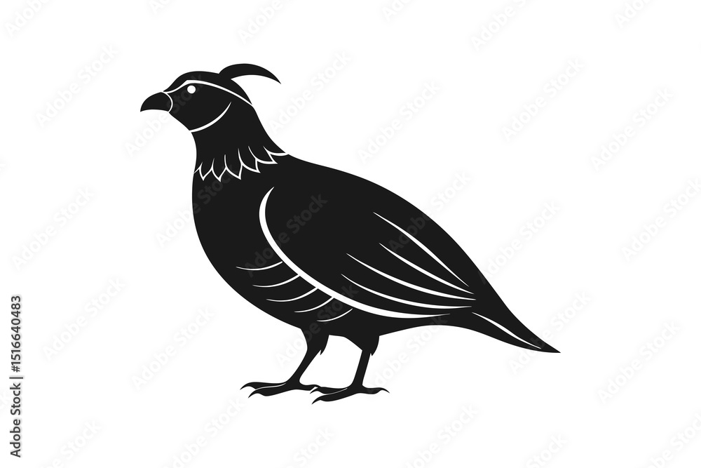 Fototapeta premium Quail silhouette vector isolated on white background