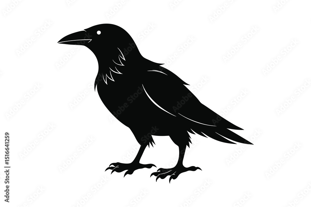 Fototapeta premium raven silhouette vector illustration on white background