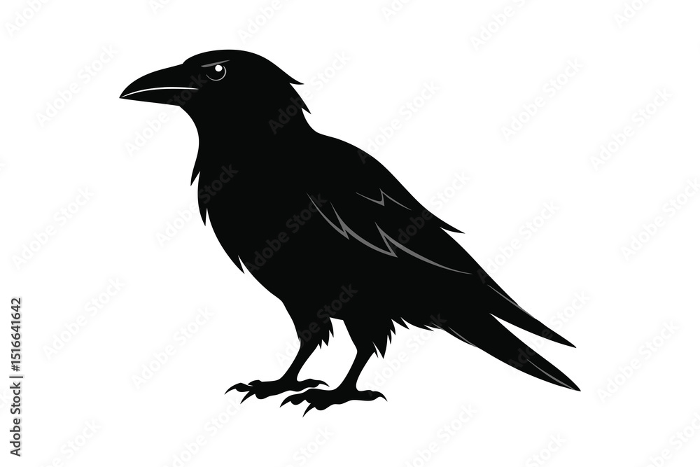 Obraz premium Beautiful black raven, crow in flight isolated on white background