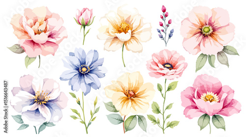 Set of watercolor flowers on white background