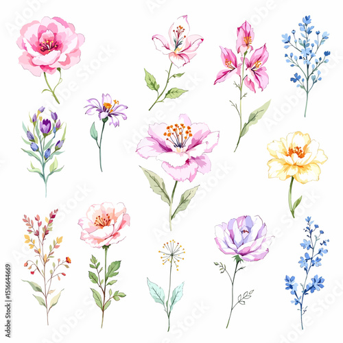 Set of watercolor flowers on white background