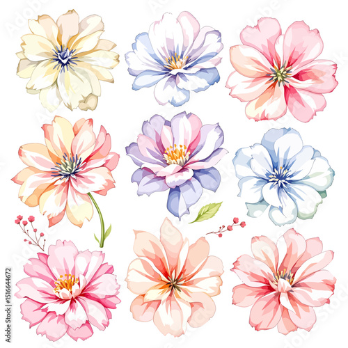 Set of watercolor flowers on white background