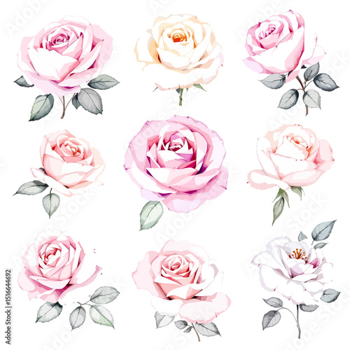 Pink Color flower watercolor hand drawn illustration