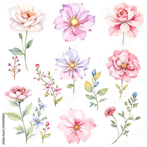 Watercolor floral illustration set with delicate flowers and leaves, isolated on white background. Soft watercolor floral bouquet set